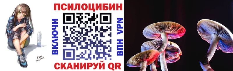где найти   Ипатово  Галлюциногенные грибы Psilocybe 